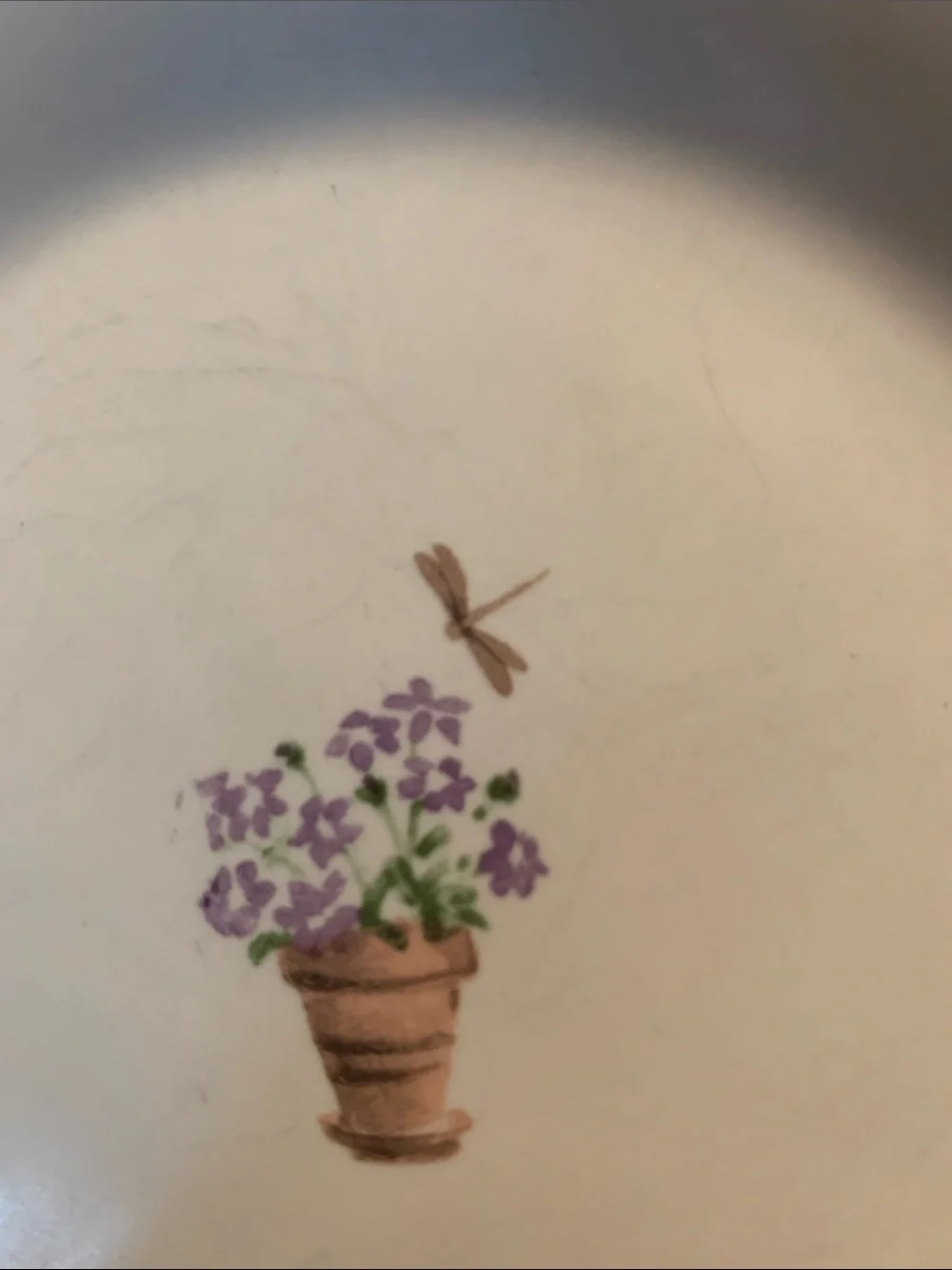 Pfaltzgraff Single Salad Plate. Perennials Pattern
